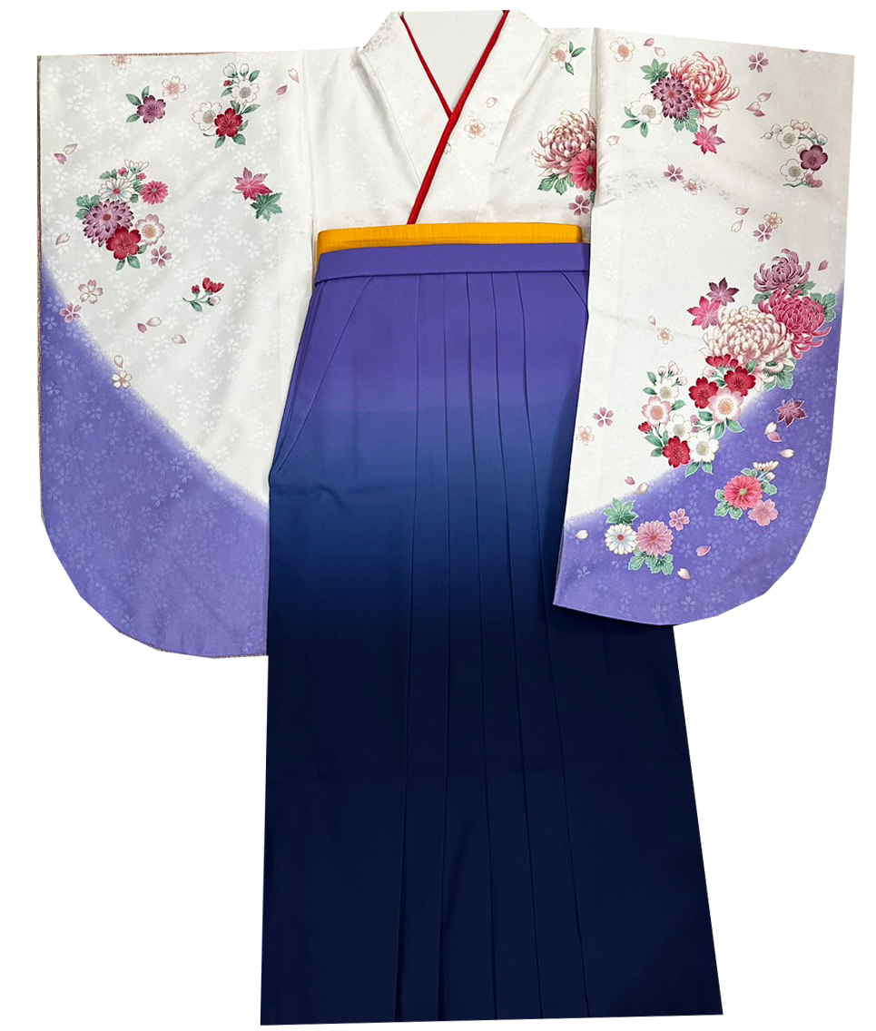 A6.png
